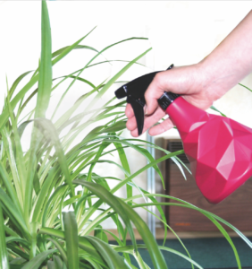 Additional view