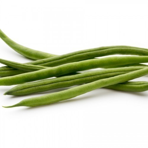HARICOT