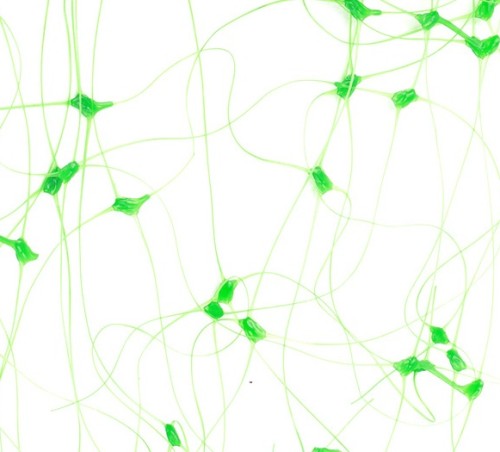 filet-de-palissage-metre-lineaire