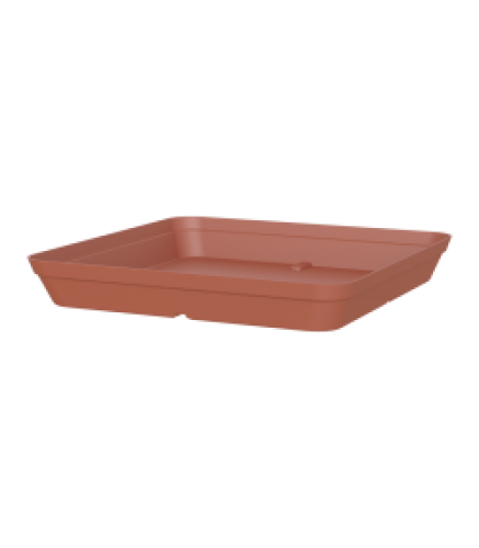 Variant 7