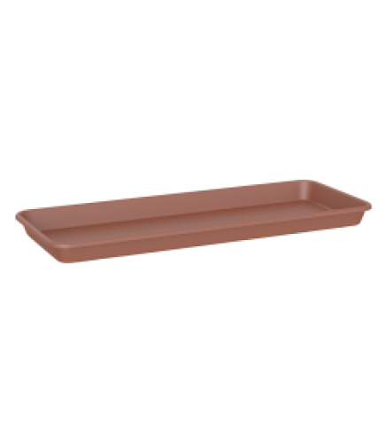 Variant 5