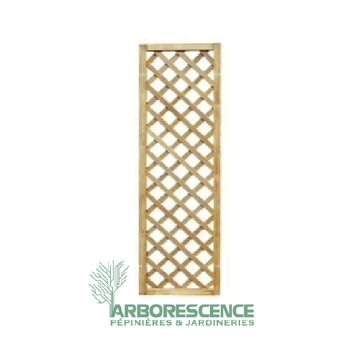 TREILLISS PIN AVEC CADRE 40*180CM