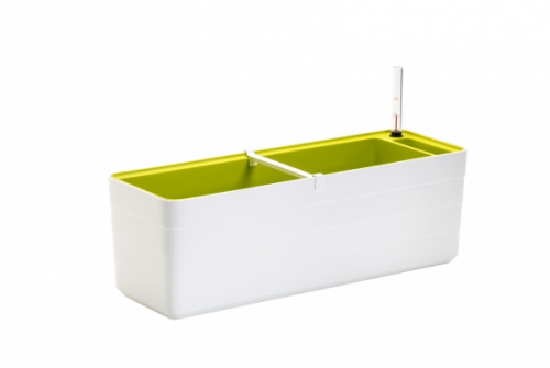 flower-box-berberis-60cm