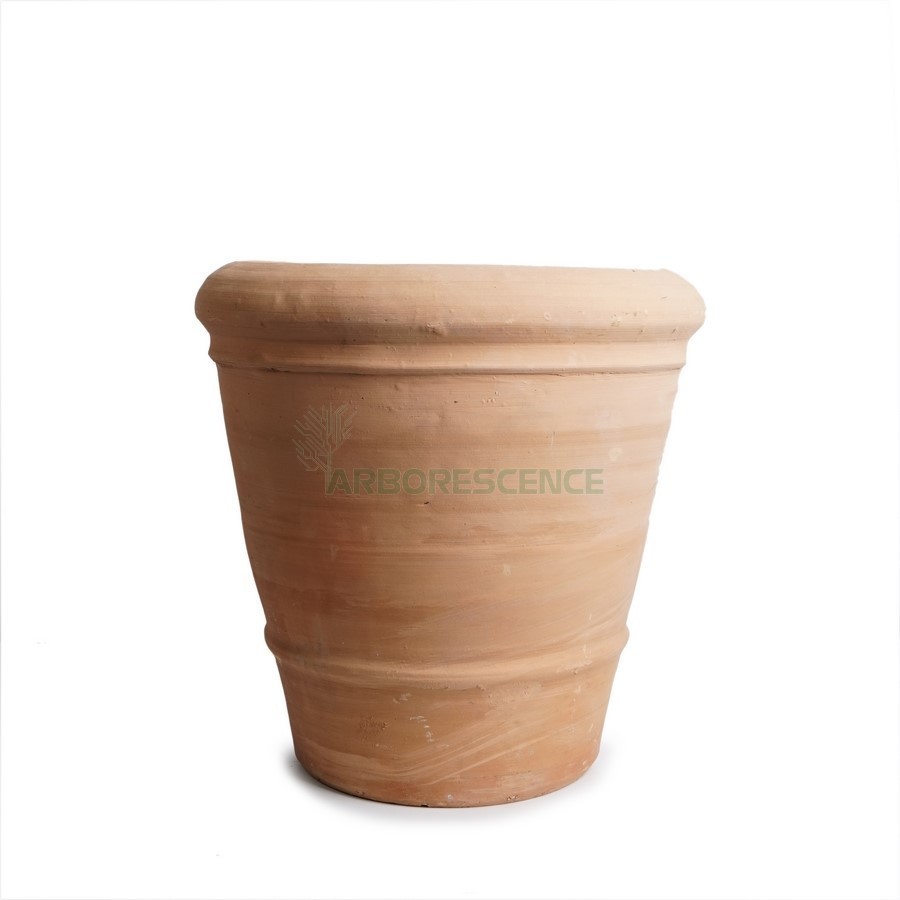 CACHE POT TC