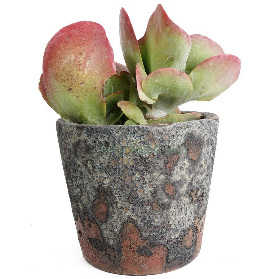 POT ART 16